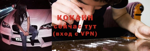 гидра Гусиноозёрск