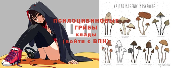 меф Гусь-Хрустальный