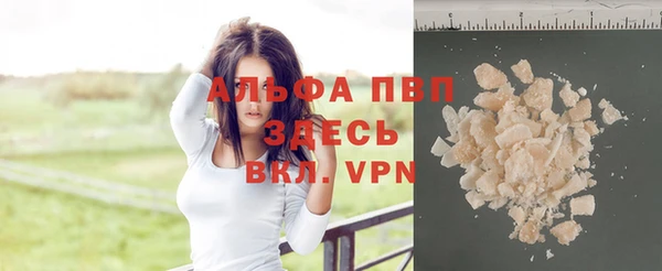 2c-b Гусев
