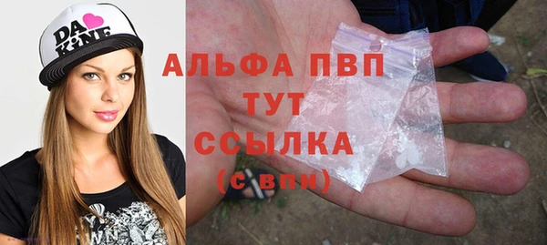 гидра Гусиноозёрск