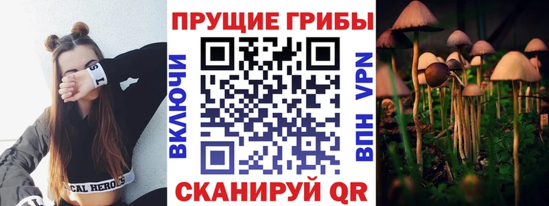Псилоцибиновые грибы прущие грибы  Купить где  Микунь 